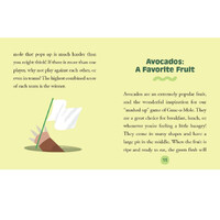 Guac-a-Mole Mini Kit additional image