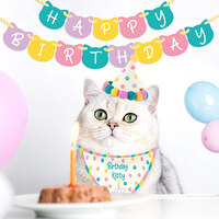 Birthday Kitty Cat Birthday Kit additional image