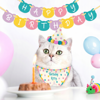 Birthday Kitty Cat Birthday Kit additional image