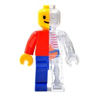 Brick Man Funny Anatomy additional image