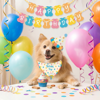 Birthday Pup Dog Birthday Kit additional image