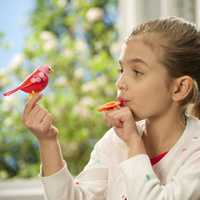 Digibirds with Whistle Ring additional image