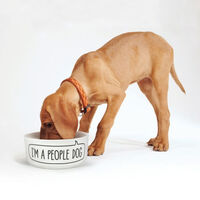 Dog Person Bowl and Mug Set additional image