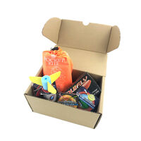 Flying Family Fun Pack additional image
