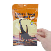 Freeze Dried Dinosaur Poo additional image