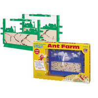 Fascinating Ant Farm additional image