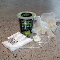 Glow in the Dark Crystal Growing additional image