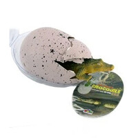 Hatching Crocodile Egg additional image
