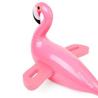 Inflatable Flamingo Kickboard additional image