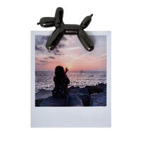 Lucky Magnetic Photo Holder additional image
