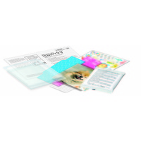 Paw Print Making Kit additional image