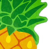 SunnyLife Pineapple Shaped Towel additional image