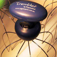 Trembler Head Massager additional image