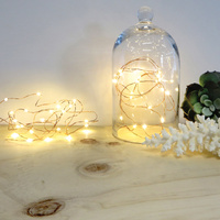 Wired LED Copper Lights additional image