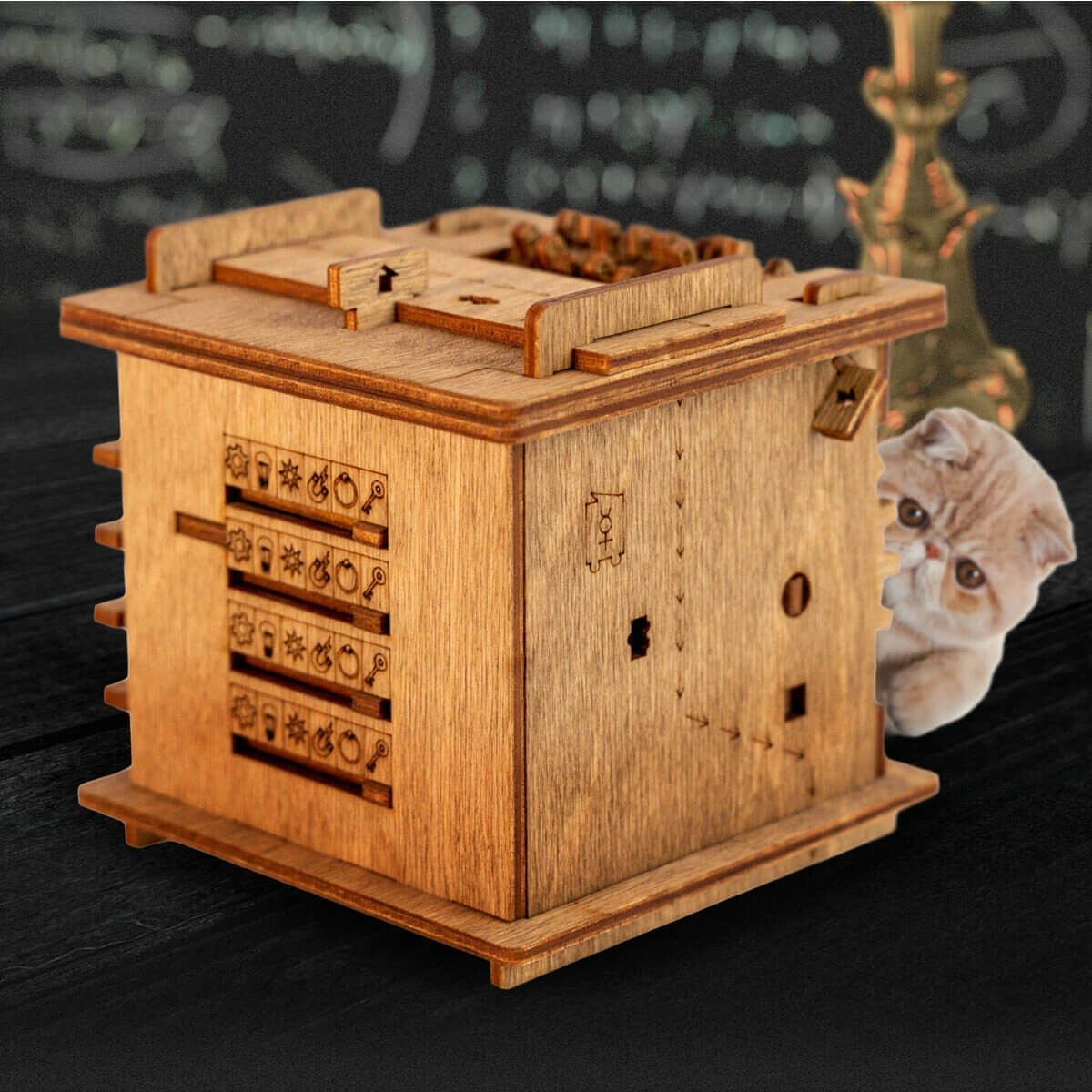 Schrodinger's Cat Cluebox Escape Room in a Box