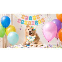 Birthday Pup Dog Birthday Kit additional image
