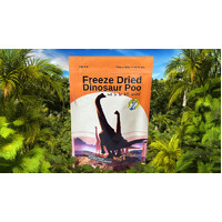 Freeze Dried Dinosaur Poo additional image