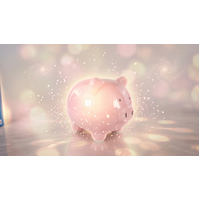 Piggy Coin Bank additional image