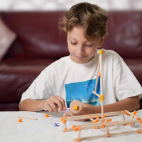 Beaver Smart Structures additional image