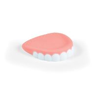 Chill Baby False Teether additional image