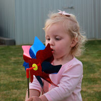 Extendo Pinwheel additional image
