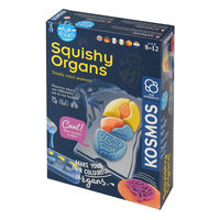 Fun Science Squishy Organs additional image