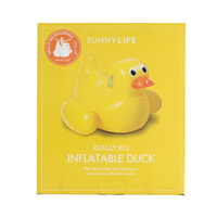 Inflatable Duck additional image