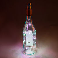 LED Party Bottle Light Kit additional image