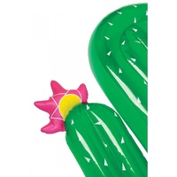 Luxe Lie On Float Cactus additional image