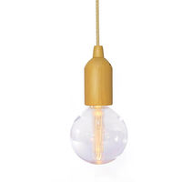 Pull On Edison Light additional image