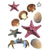 Trash Art - Sea Life additional image
