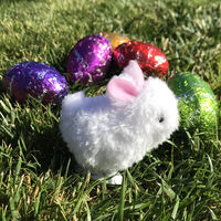 Wind Up Mini Bunny additional image