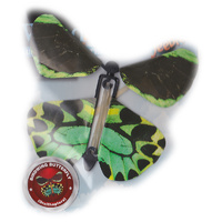 Wind Up Australian Butterfly additional image