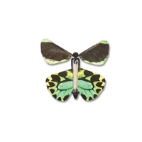 Wind Up Australian Butterfly additional image