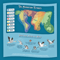 Bird Lovers 1000pc Jigsaw Puzzle additional image