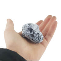 Chomp And Go Dino Skulls additional image