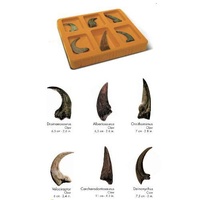 Dino Claws Collection additional image