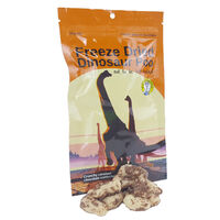 Freeze Dried Dinosaur Poo additional image