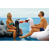 Inflatable Swan additional image