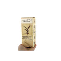 Miniature Leonardo Da Vinci Ornithopter additional image