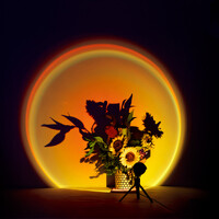 Morphing Projection Lamp additional image