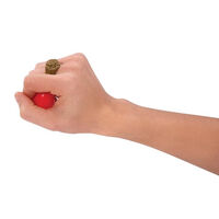 Practical Jokes Kit additional image