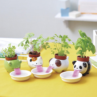 Peropon Self Watering Panda with Basil additional image