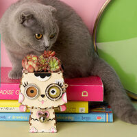 Robotime Flower Pot Kitty additional image