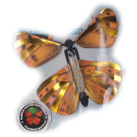 Wind Up Australian Butterfly additional image