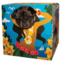 Animal Adventures Pet Photobooth additional image
