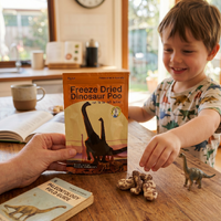Freeze Dried Dinosaur Poo additional image