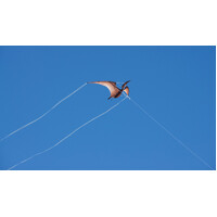 Pterodactyl Jurassic Kite additional image