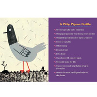 Mini Office Messenger Pigeon Mini Kit additional image