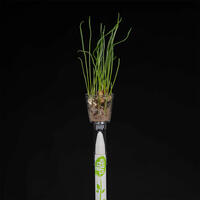 Pen Grower additional image